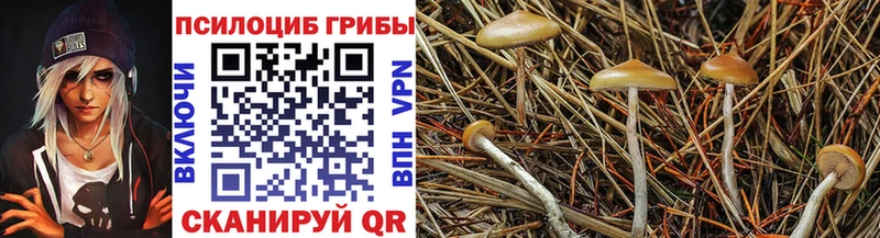цены наркотик  Ревда  Псилоцибиновые грибы ЛСД 