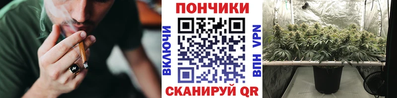 Шишки марихуана тримм Ревда